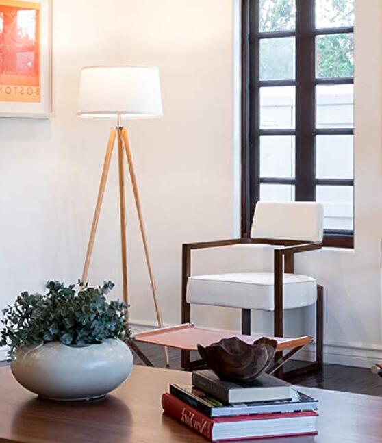 Floor Lamp for Living Room Reviews