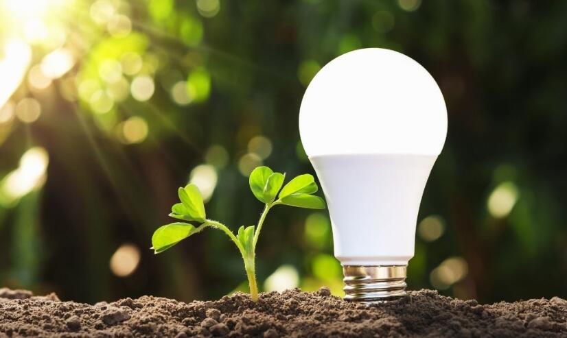 Understanding the Impact of Lamps on the Environment